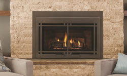 Gas Fireplaces Edmonton Edmonton Fireplaces